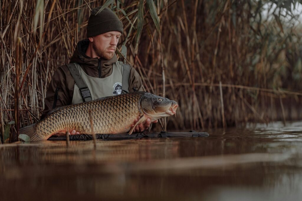 A fisherman holding a large carp by a river surrounded by reed plants during rain.
