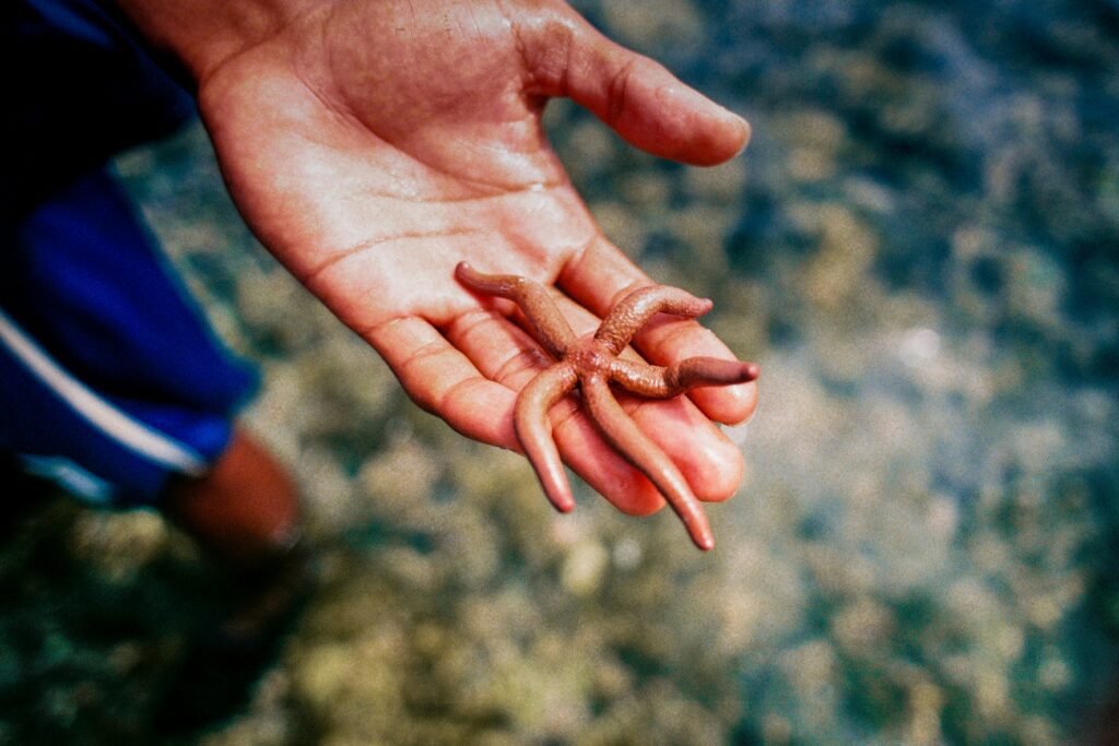 Fishing worms, Fish bait