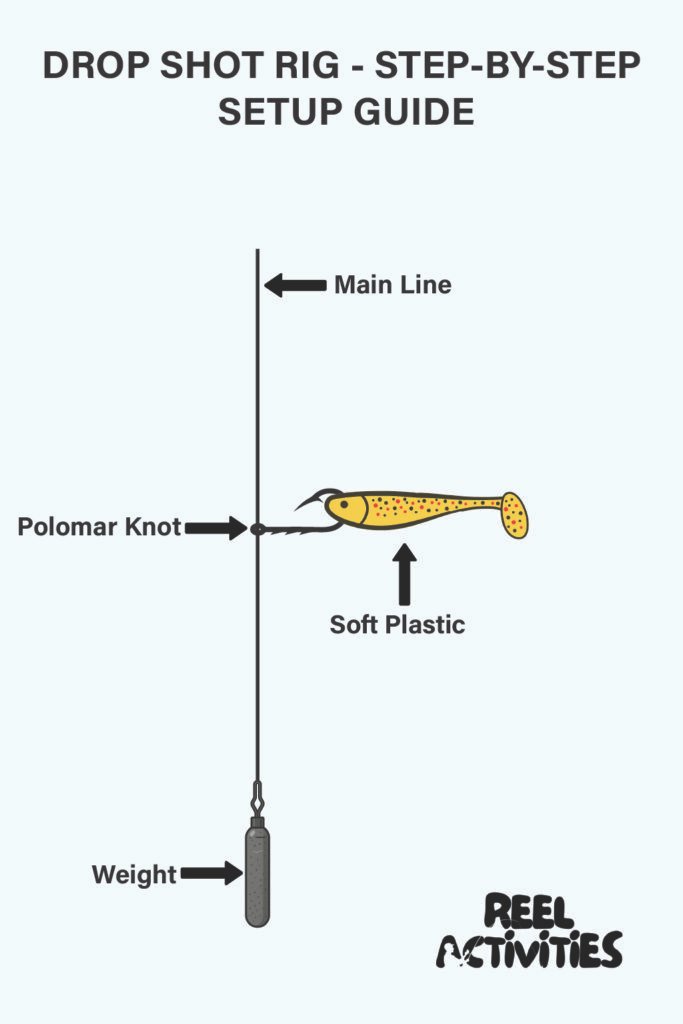 Drop shot rig diagram showing main line, Palomar knot, soft plastic bait, and weight—used for deep winter trout fishing rigs.