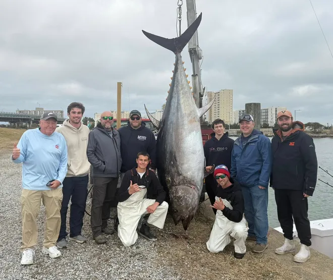 Potential-Record-Bluefin-Tuna Virginia Beach bluefin tuna weighing 835.8 pounds posed with anglers after a potential record catch in 2026